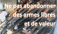 Armes à feu, munitions, couteaux les Français vont pouvoir se  débarrasser de leurs armes non déclarées 