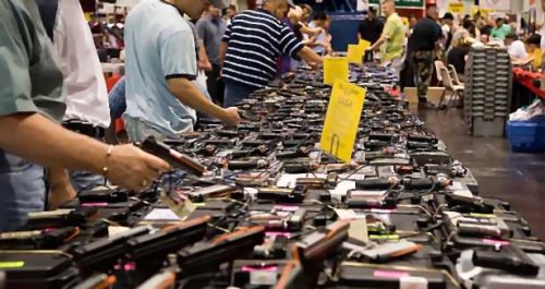Armes à feu: Visa renonce pour l'instant à catégoriser les achats dans les  magasins d'armes